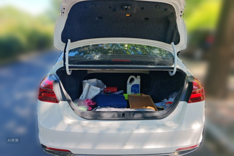 GEELY Emgrand 2019 car image #21