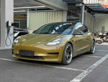 Tesla Model 3 2021 Tesla Model 3 2021 car image
