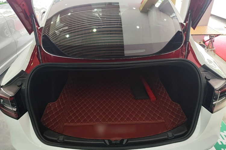 Tesla Model 3 2020 car image #19