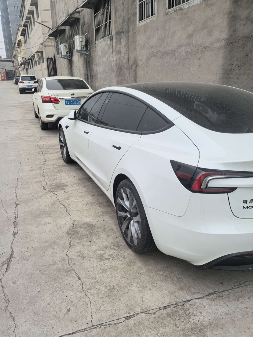 Tesla Model 3 2026 immagine di auto #5