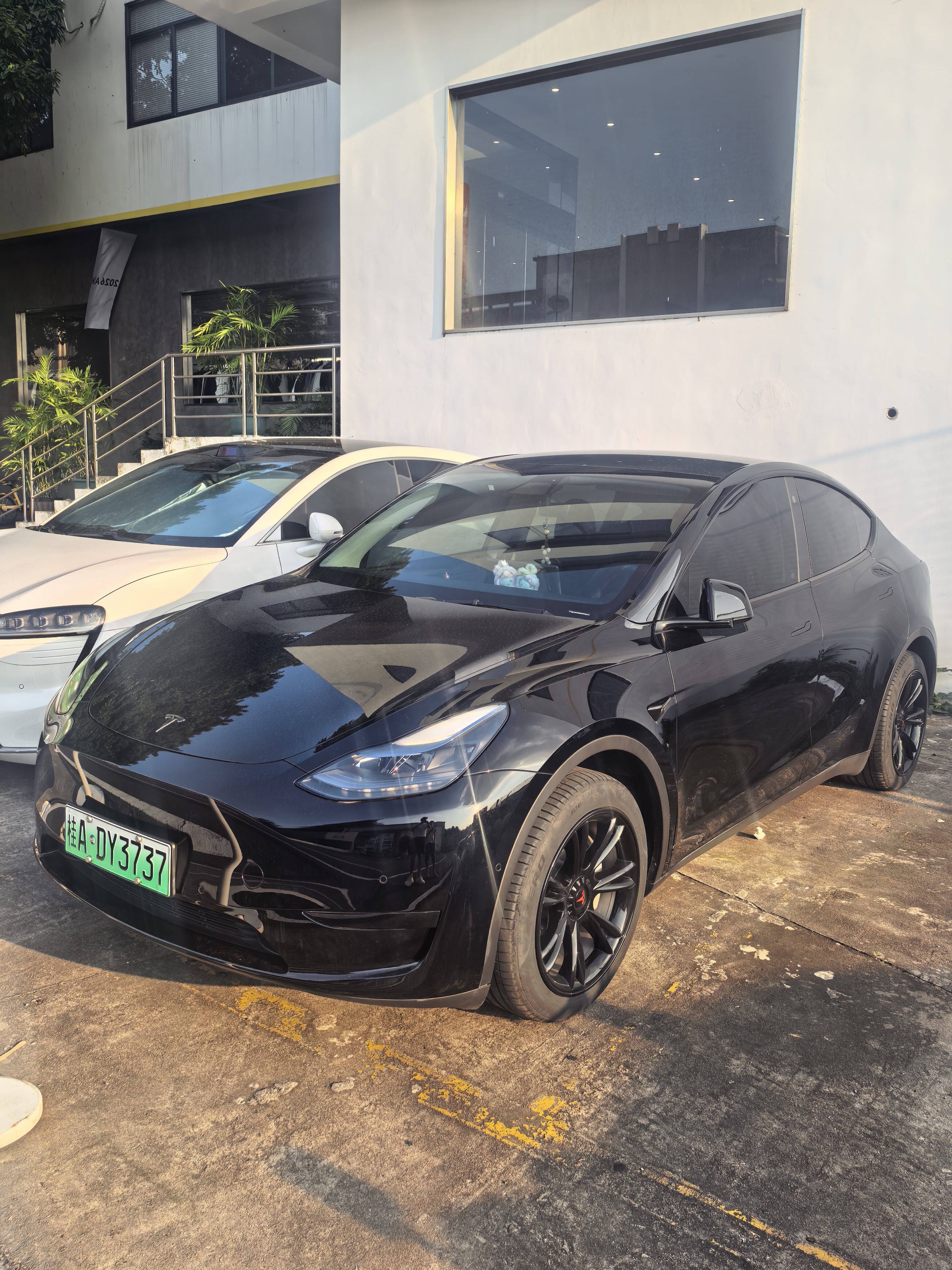 Tesla Model Y 2023 car image 