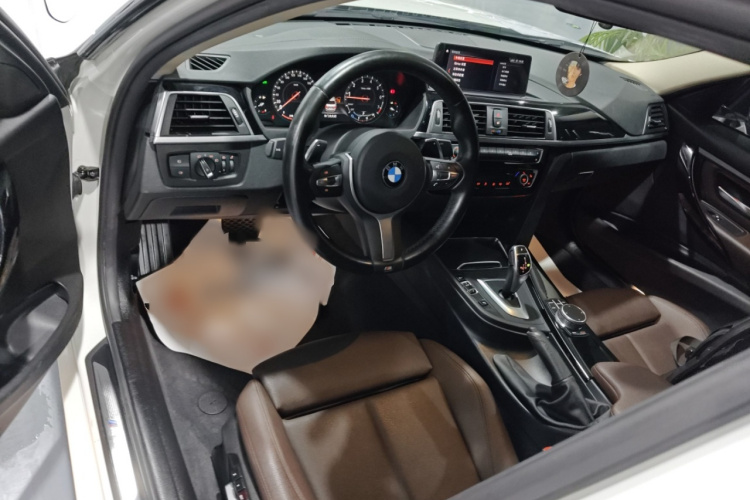 BMW 3 Series 2018 car image #10