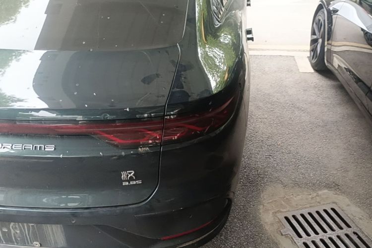 BYD Han 2022 #8 BYD Han 2022 immagine di auto #8