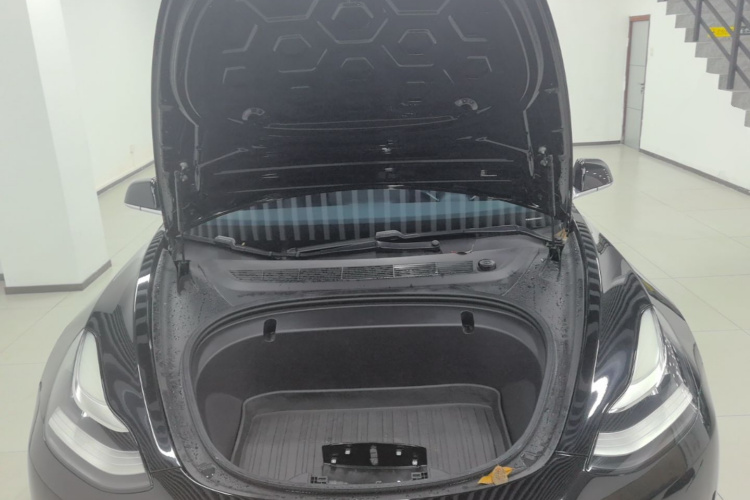 Tesla Model 3 2020 #20 Tesla Model 3 2020 car image #20