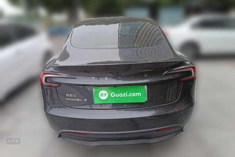Tesla Model 3 2024 car image #6