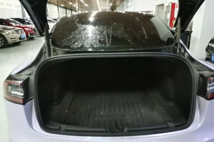 Tesla Model 3 2021 immagine di auto #19