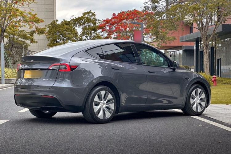 Tesla Model Y 2021 car image #7