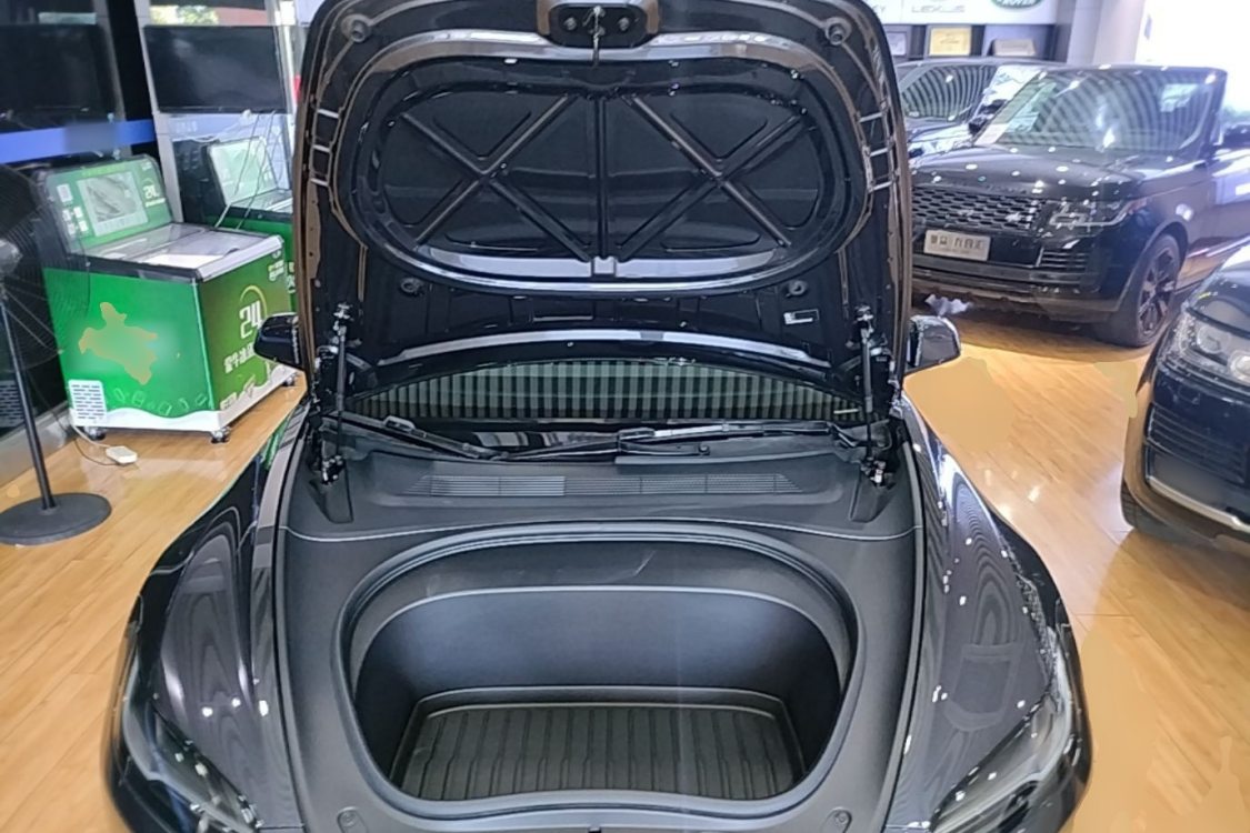 Tesla Model 3 2024 car image #6