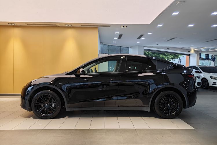 Tesla Model Y 2023 #7 Tesla Model Y 2023 car image #7