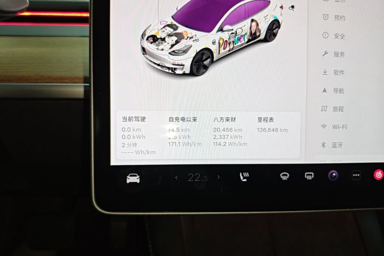 Tesla Model 3 2021 imagem de carro #22