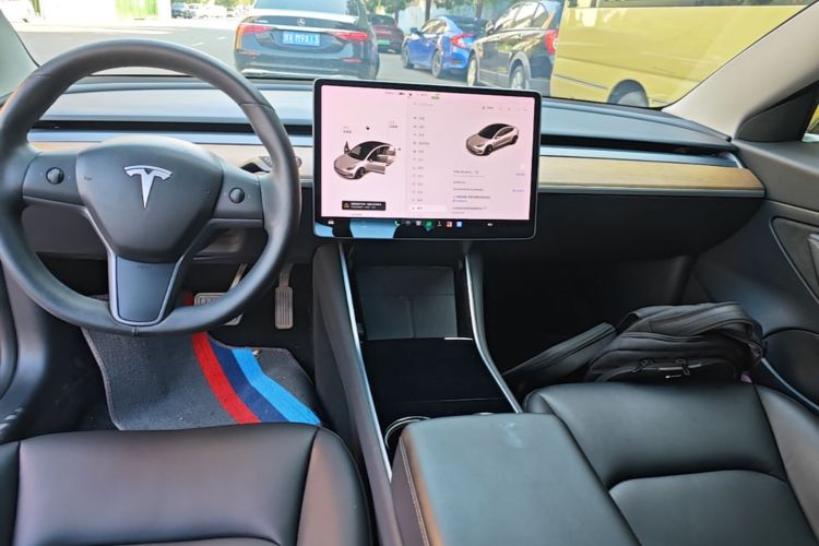Tesla Model 3 2020 car image #13
