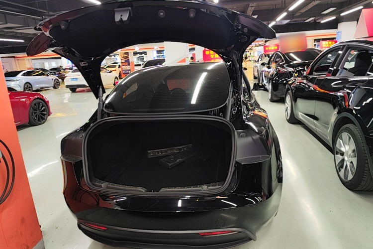 Tesla Model 3 2024 #19 Tesla Model 3 2024 car image #19