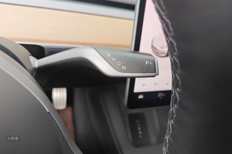 Tesla Model 3 2021 car image #16