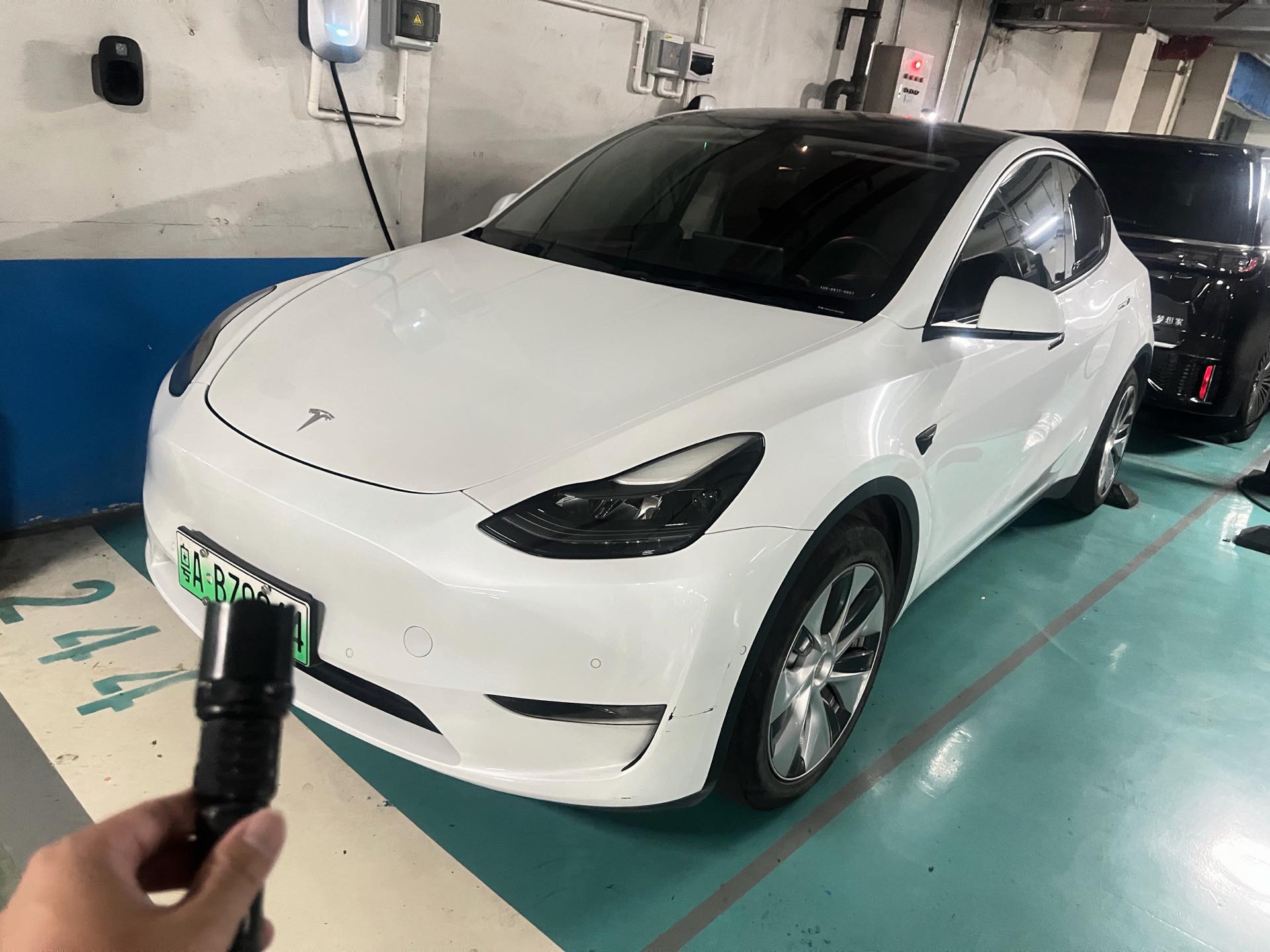 Tesla Model Y 2022 car image 