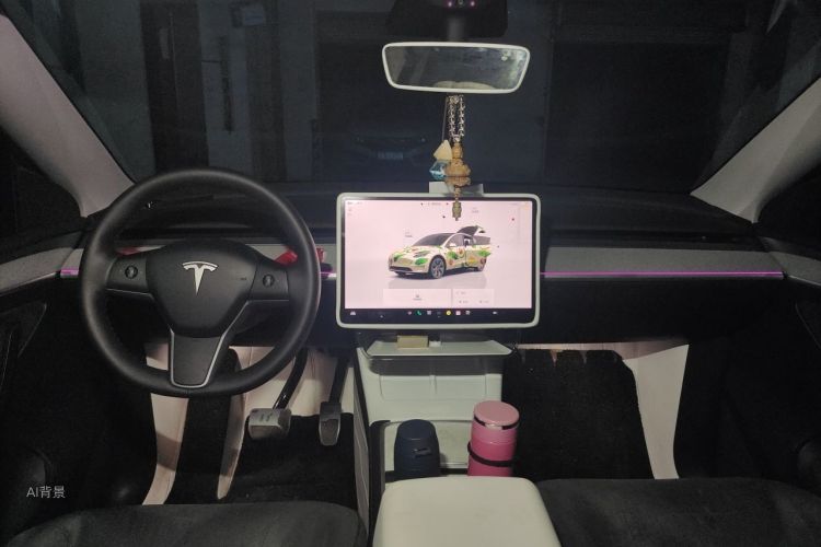 Tesla Model Y 2023 car image #20