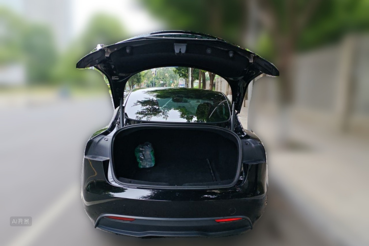 Tesla Model 3 2024 #21 Tesla Model 3 2024 car image #21