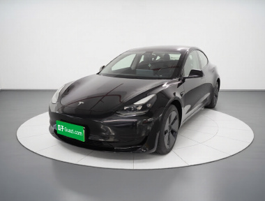 Tesla Model 3 2021 Tesla Model 3 2021 car image
