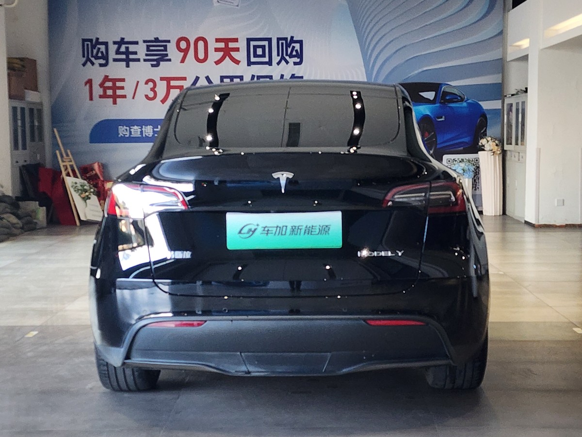 Tesla Model Y 2021 #8 Tesla Model Y 2021 car image #8