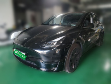 Tesla Model Y 2022 Tesla Model Y 2022 car image