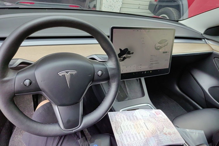 Tesla Model 3 2021 car image #10