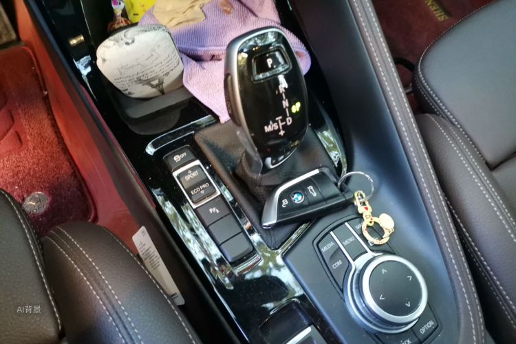 BMW X1 2021 car image #16