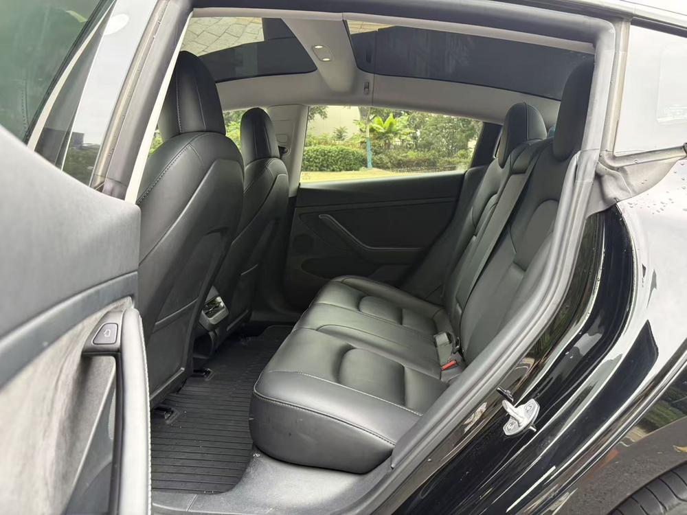 Tesla Model 3 2023 car image #15