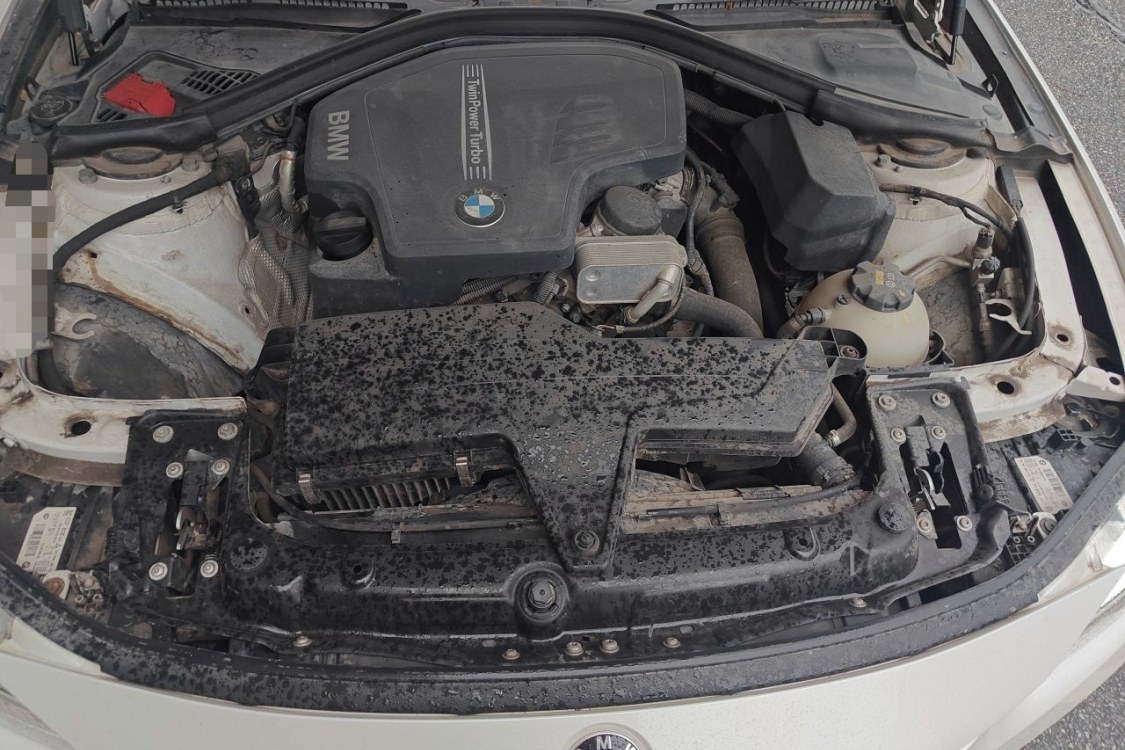 BMW 3 Series 2016 car image #10