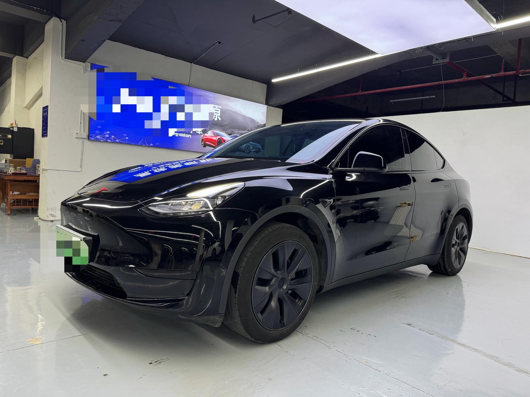 Tesla Model Y 2024 car image 