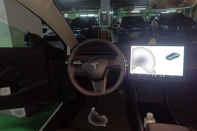 Tesla Model 3 2020 car image #11