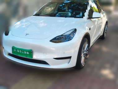 Tesla Model Y 2022 car image 