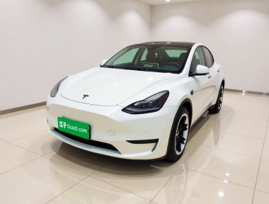 Tesla Model Y 2022 car image 