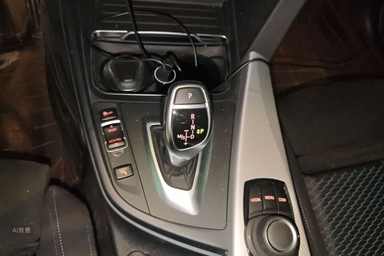 BMW 3 Series 2017 car image #16