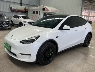 Tesla Model Y 2024 immagine di auto 