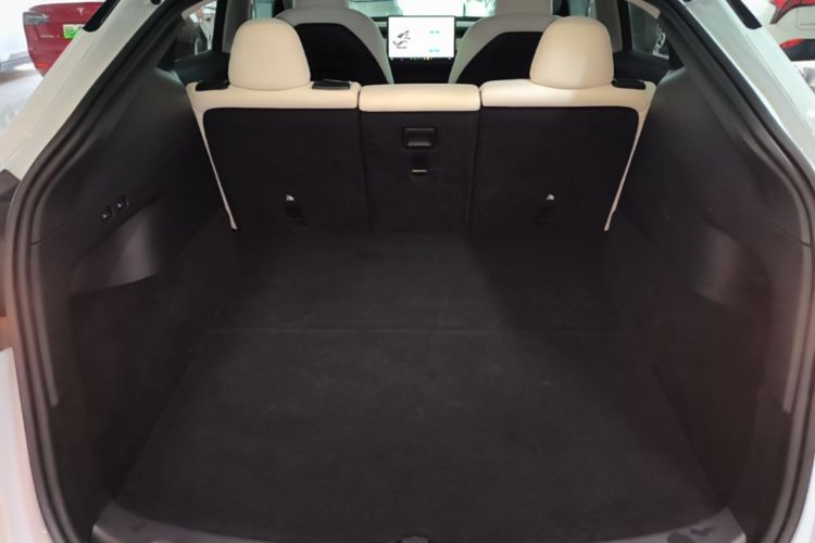 Tesla Model Y 2023 car image #21