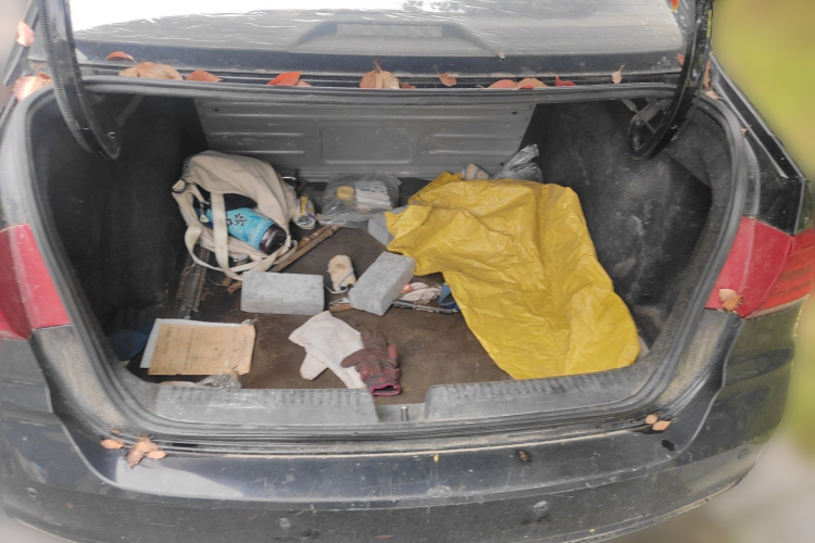 Volkswagen Santana 2019 car image #21