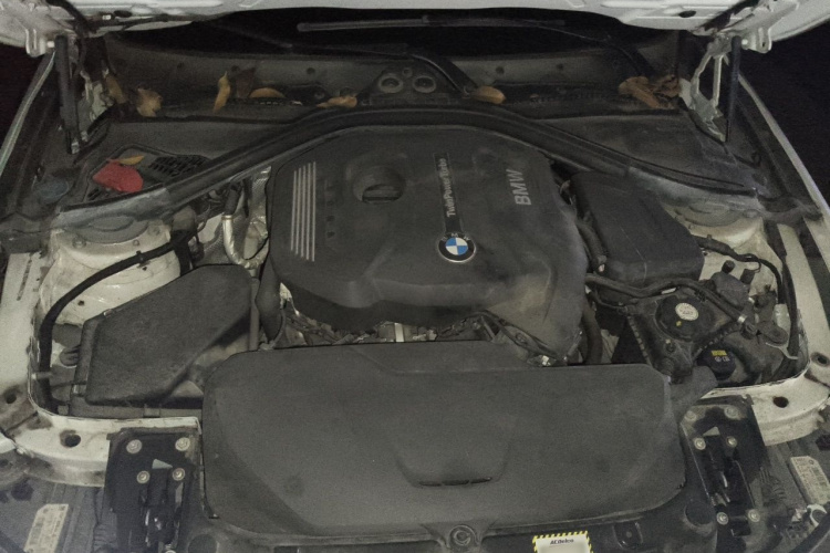 BMW 3 Series 2017 #27 BMW 3 Series 2017 car image #27