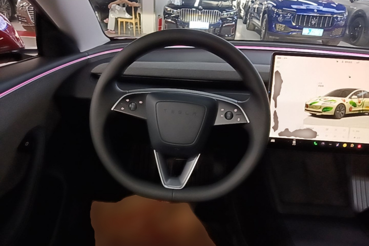 Tesla Model 3 2024 car image #15
