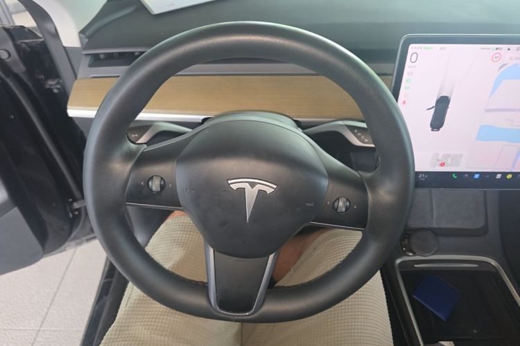 Tesla Model Y 2023 car image #15