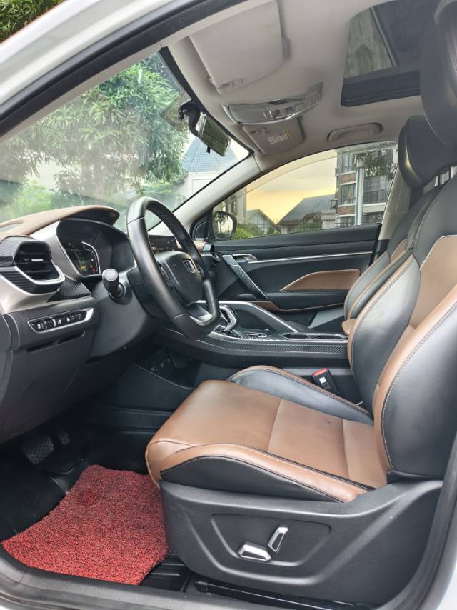 GEELY Coolray 2019 image de voiture #6