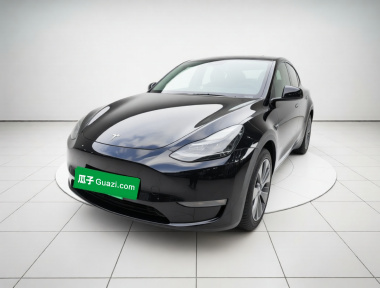 Tesla Model Y 2022 Tesla Model Y 2022 car image