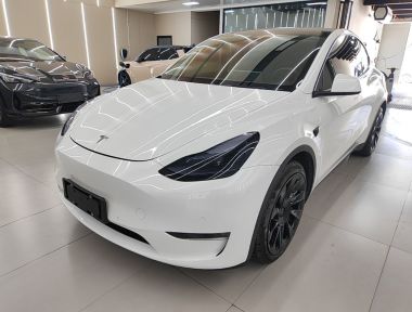 Tesla Model Y 2021 Tesla Model Y 2021 car image