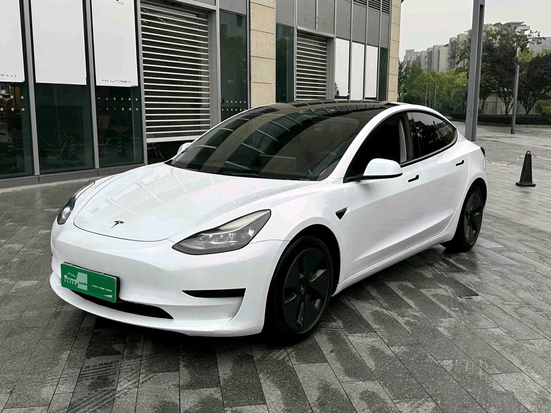 Tesla Model 3 2021 immagine di auto 