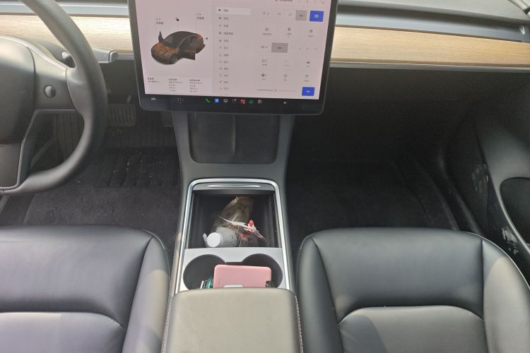 Tesla Model 3 2021 #14 Tesla Model 3 2021 car image #14