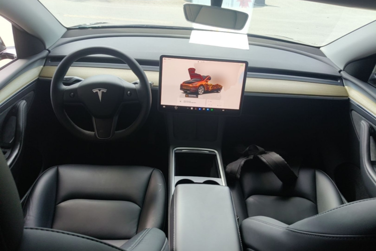 Tesla Model Y 2023 immagine di auto #10