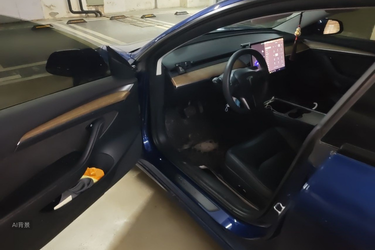 Tesla Model 3 2021 #18 Tesla Model 3 2021 car image #18