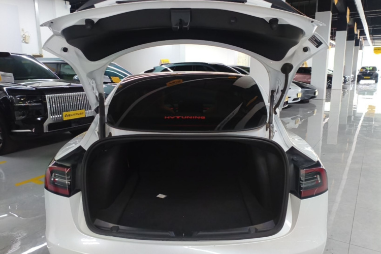 Tesla Model 3 2021 car image #21