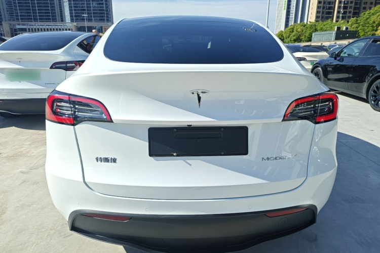 Tesla Model Y 2022 car image #6