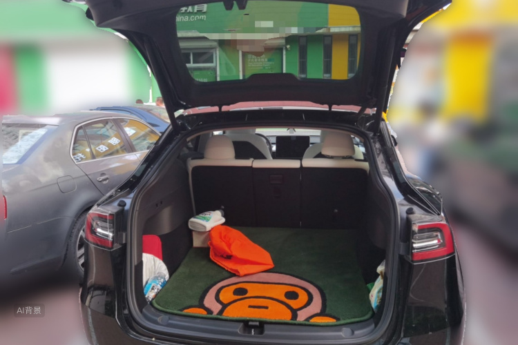 Tesla Model Y 2021 car image #21