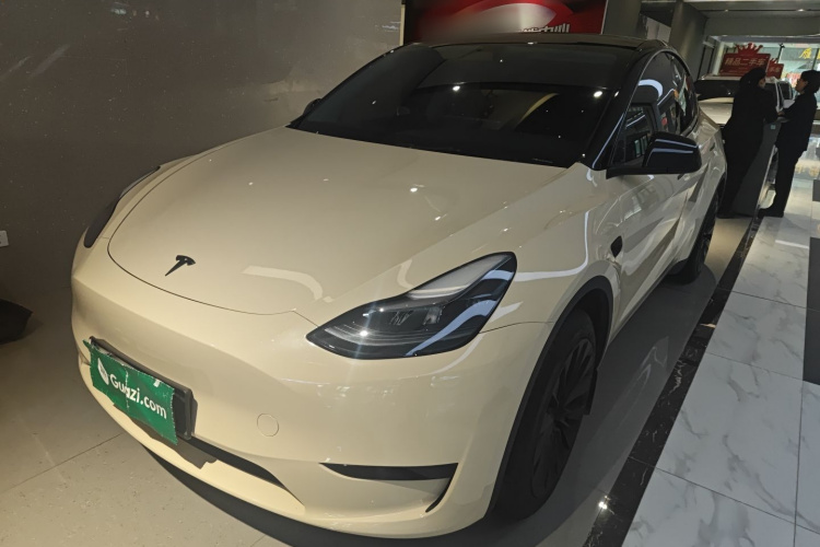 Tesla Model Y 2024 car image #2