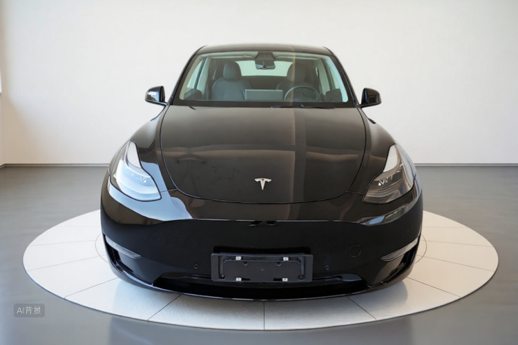 Tesla Model Y 2021 #3 Tesla Model Y 2021 car image #3